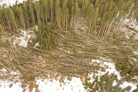 Vetrolom na Pokljuki 2